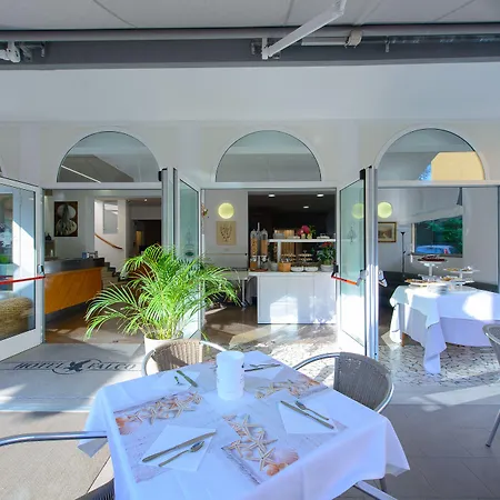 Falco Hotel Riccione