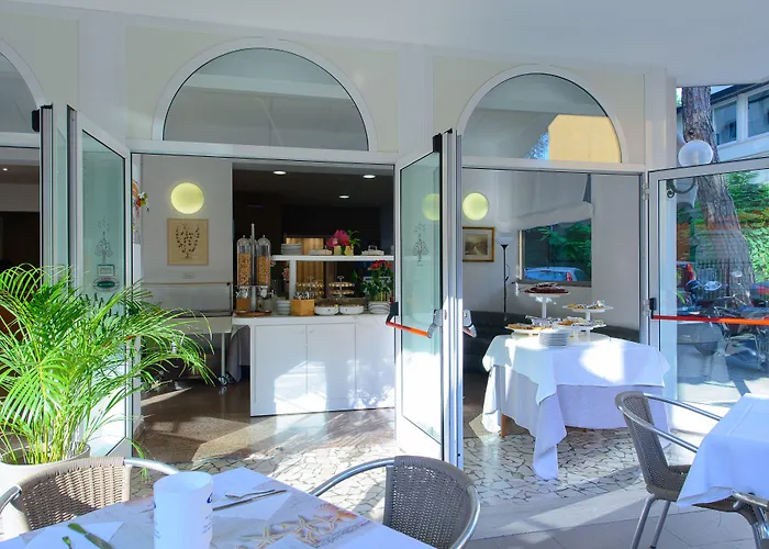 Falco Riccione