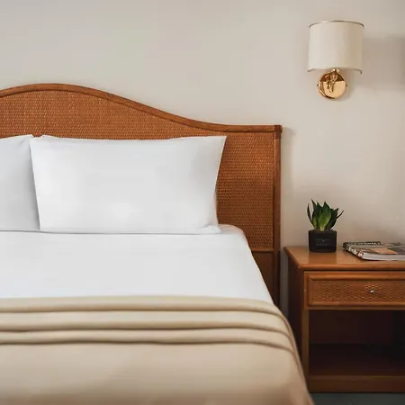 Falco Hotel Riccione